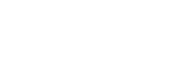 HSM Logo